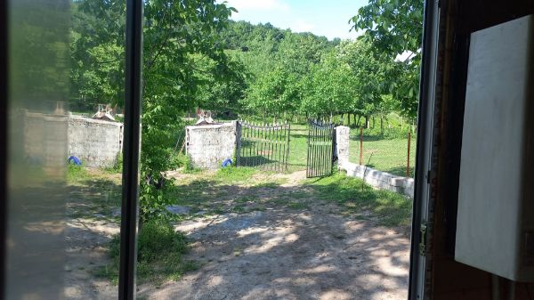 تصویر کلبه چوبی سوئیسی داخل جنگل 