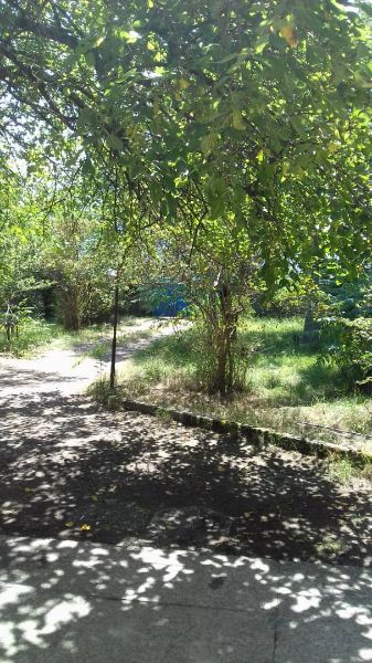 تصویر ویلای ساحلی دربست 