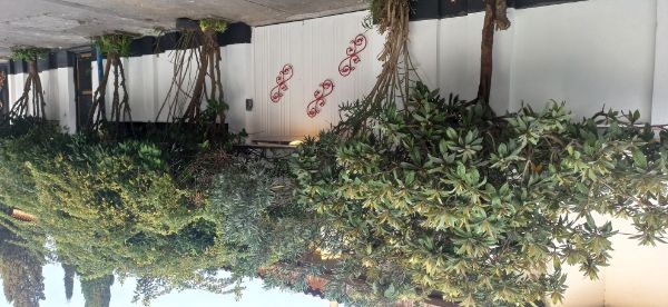 Picture of دوخوابه ویلایی سفید