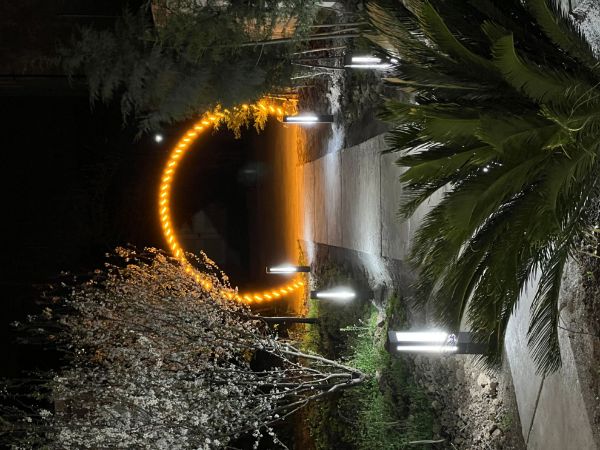 Picture of کلبه سوئیسی مدرن فضلی