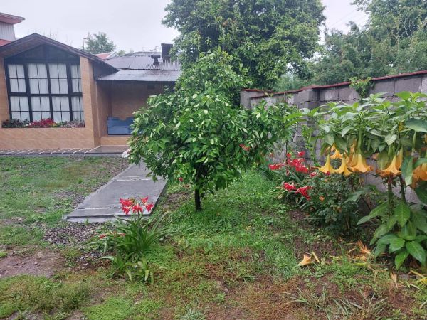 صورة ویلای اکسیر